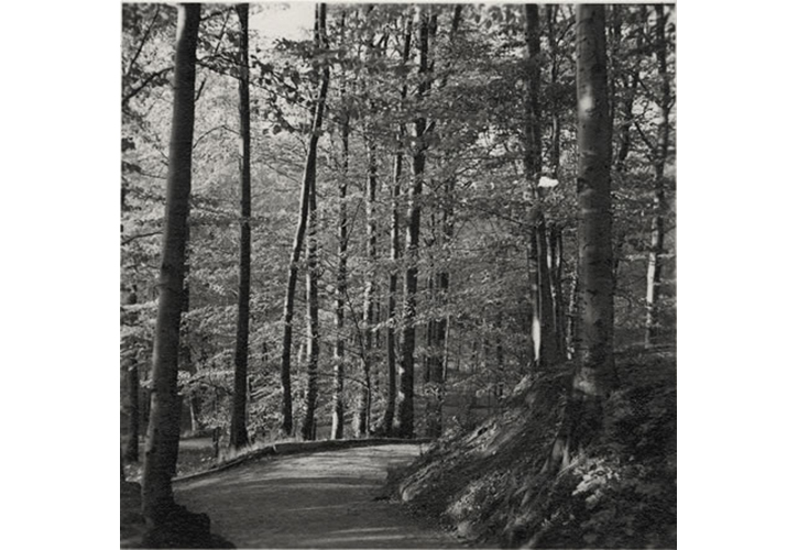 Pre-War Germany, Beautiful Landscapes, circa 1930s